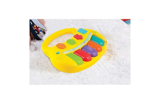 אורגן אורות חיות WINFUN