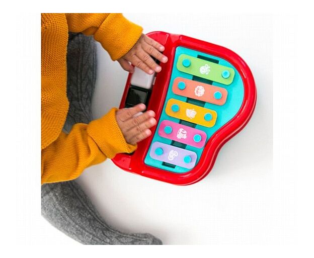 קסילפון PLAYGRO